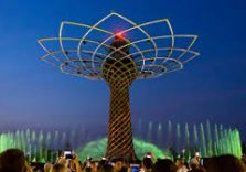 Expo 2015, “compensato” con migliaia di alberi il totale di ettari su cui sorgeva l’area della piastra