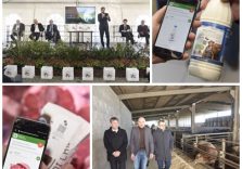 Regione Lombardia tutela il Made in Italy per tracciare i prodotti alimentari di origine animale