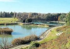 Milano, pescatori di frodo nel laghetto del Parco Nord