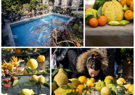 AgruMI, un viaggio nella storia e nei sapori degli agrumi a  Villa Necchi Campiglio di Milano