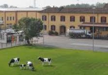 Latteria Soresina, eccellenza agroalimentare lombarda, festeggia 120 anni di attività