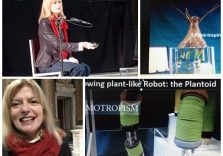 Parla Barbara Mazzolai, la scienziata italiana “madre” del primo robot al mondo ispirato a una pianta