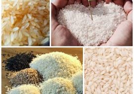 Regione Lombardia e Piemonte scendono in campo per difendere il riso italiano da quello cambogiano