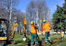 Giornata Nazionale degli Alberi, inizia la stagione agronomica e parte la campagna di forestazione nel Milanese