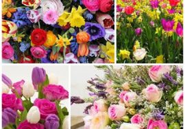 Fiori e piante il regalo giusto per questo Natale 2020. Il claim dei fioristi milanesi: “distanti ma uniti con un fiore”
