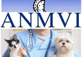 Emergenza Coronavirus: l’Anmvi invita ad attenersi alle fonti ufficiali per i nostri amici animali, no a speculazioni