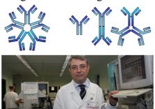Emergenza Coronavirus:  il biochimico Mario Plebani “Gli anticorpi si sviluppano in 10 giorni e agiscono fino a 6 anni”
