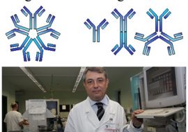 Emergenza Coronavirus:  il biochimico Mario Plebani “Gli anticorpi si sviluppano in 10 giorni e agiscono fino a 6 anni”
