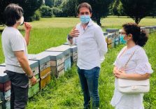 Sesto San Giovanni abbraccia le api con il progetto “Apicoltura nei parchi cittadini”