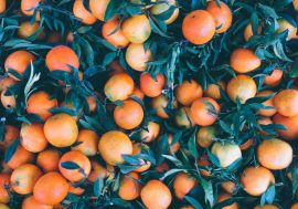 Arancia, tanti benefici alla salute e molte curiosità