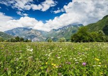 Regione Lombardia, da luglio a ottobre escursioni gratuite alla scoperta delle foreste più belle