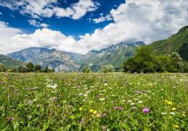 Regione Lombardia, da luglio a ottobre escursioni gratuite alla scoperta delle foreste più belle