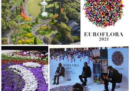 Genova prepara Euroflora, rifiorire con la bellezza