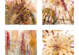 Florilegium, prorogata fino al prossimo dicembre la prima personale italiana dell’artista britannica Rebecca Louise Law
