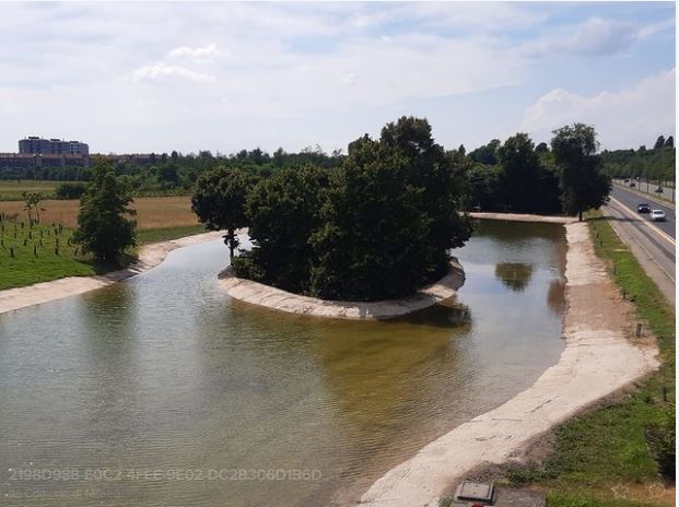 Questa immagine ha l'attributo alt vuoto; il nome del file è bosco-città.jpg