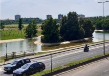 Milano, in via Novara nasce Boscoincittà un habitat per molte specie faunistiche