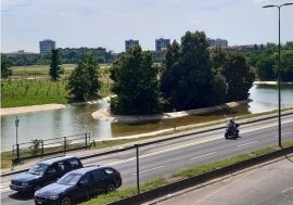 Milano, in via Novara nasce Boscoincittà un habitat per molte specie faunistiche