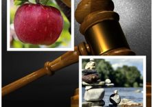 Si confonde l’uguaglianza dei diritti con l’uguaglianza delle persone