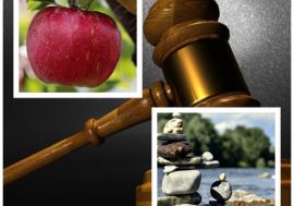 Si confonde l’uguaglianza dei diritti con l’uguaglianza delle persone