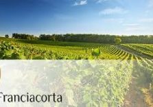 Inaugurata la nuova sede del Consorzio Franciacorta a Erbusco