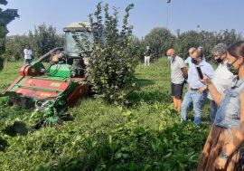 Agricoltura, la Lombardia guarda con interesse alla creazione di una filiera della nocciola