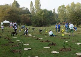 Milano, appello dei sindaci ai governi: per la ripresa post-Covid meglio investire in soluzioni green