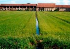 Nuove aree naturali nei campi coltivati del Parco Agricolo Sud Milano e spaccatura nel Comitato tecnico