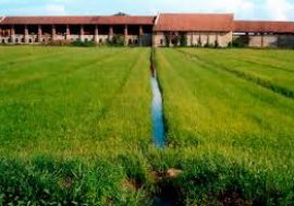 Nuove aree naturali nei campi coltivati del Parco Agricolo Sud Milano e spaccatura nel Comitato tecnico