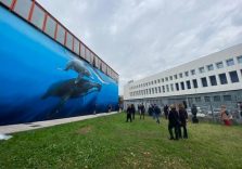 Milano, nuovo murales per la piscina Procida per stimolare la socialità