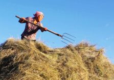 Sassari, il Covid non ferma il “Fiorenzo Serra Film Festival”