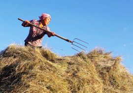 Sassari, il Covid non ferma il “Fiorenzo Serra Film Festival”