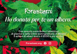 Forestami, la grande campagna di forestazione del Comune di Milano per piantare 3 milioni di alberi entro il 2030