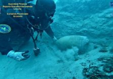 Relitto nave romana scoperto in mare dal Comando Provinciale Guardia di Finanza Grosseto