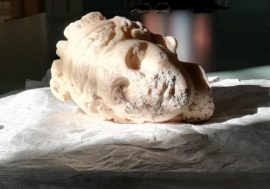 Chieti, trovata testa di Venere romana. Risale al primo secolo dopo Cristo