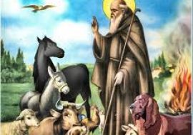 Festa di sant’Antonio, il Covid spegne i fuochi ma non la tradizione