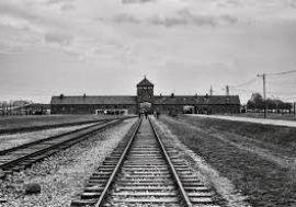 27 gennaio – Giornata della Memoria: per non dimenticare le atrocità naziste