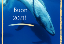 Online il video di Greenpeace “Gli eventi del 2020 hanno cambiato il nostro mondo”