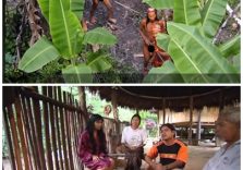Coronavirus, per gli indigeni del Rio della Plata il tasso di mortalità è il doppio del resto della popolazione