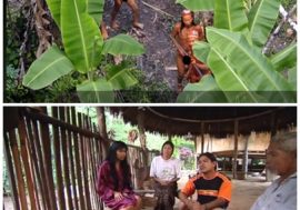 Coronavirus, per gli indigeni del Rio della Plata il tasso di mortalità è il doppio del resto della popolazione