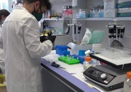 Arriva da Israele il farmaco che in 5 giorni fa guarire dal Covid
