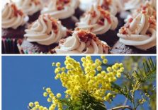Festa della Donna, le mimose     (+66%) ritornano protagoniste assieme ai dolci