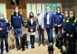 Cani guida per non vedenti, da Regione Lombardia aiuti al centro addestramento di Limbiate per questo prezioso servizio
