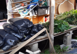 Milano, arrestato dalla Polizia un uomo che coltivava marijuana in una baracca di Vaiano Valle