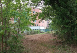 Milano, nasce ‘il Giardino delle Meraviglie’ nell’area verde di via Bechi