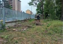 Milano, avviati i lavori per riqualificare il ‘giardino segreto’ di viale Monza