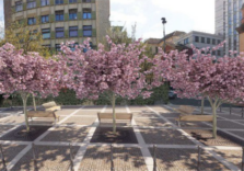 Milano, nasce una nuova piazza tra via Porlezza e via Giulini