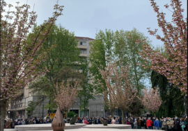 Milano, in piazza Piola inaugurato il Giardino Teresa Pomodoro