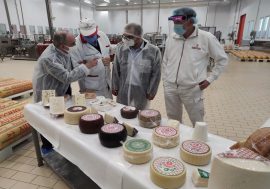 Regione Lombardia visita l’azienda Auricchio di Pieve San Giacomo, terza tappa di #viaggionelMadeinItaly