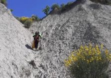 Sassuolo, ritrovate ossa di donna: si riapre il “cold case” della scomparsa di  Paola Landini