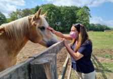 L’importanza degli animali per aiutare le persone fragili con progetti innovativi